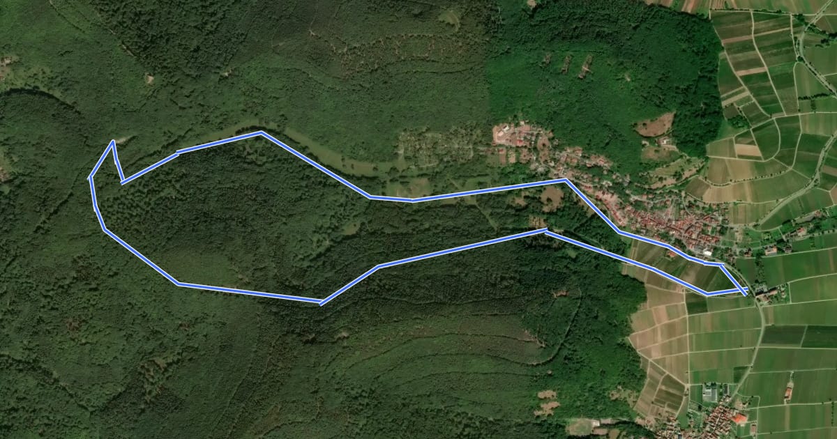 Маршрут Leinsweiler Nordic-Walking mittelschwere Tour на спутниковом снимке