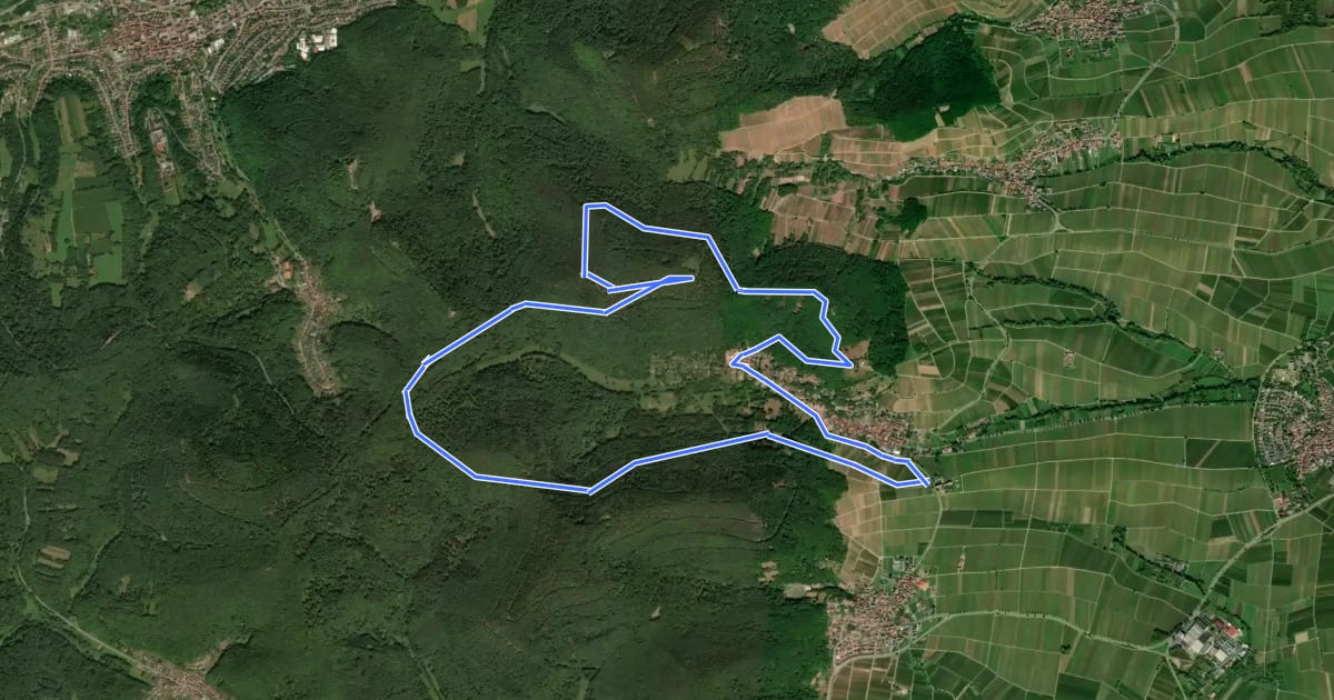 Маршрут Leinsweiler Nordic-Walking schwierige Tour на спутниковом снимке