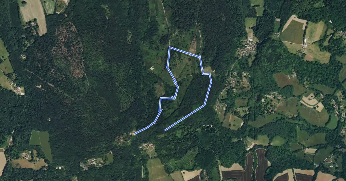 Маршрут Leith Hill Heathland Walk, Leith Hill на спутниковом снимке