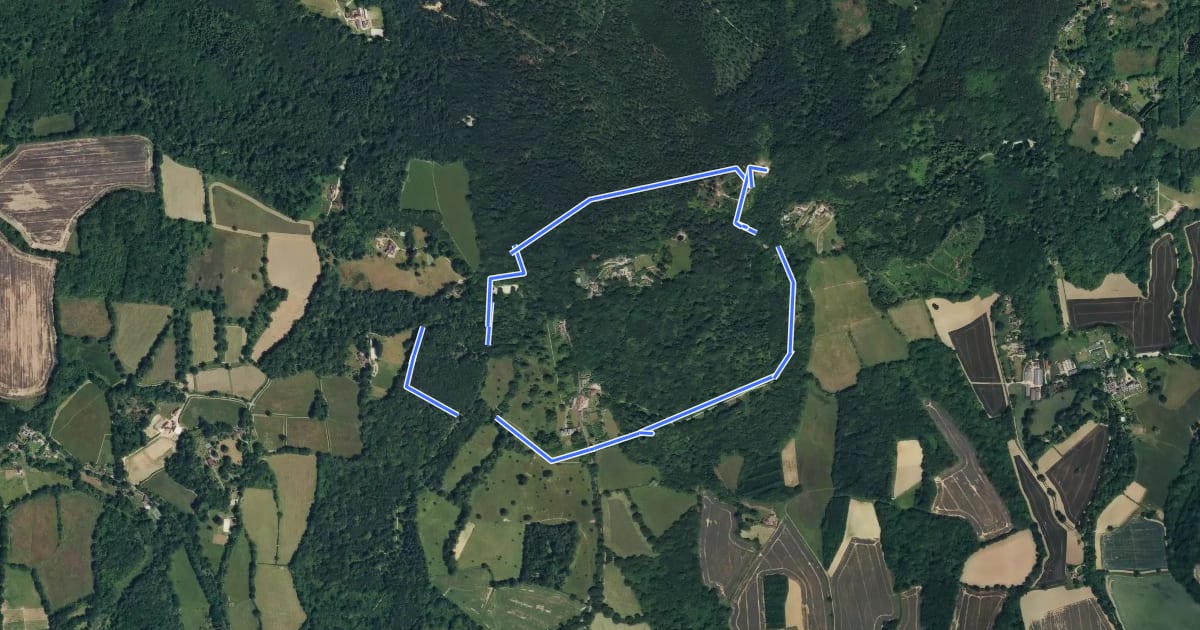 Маршрут Leith Hill Woodland Walk, Leith Hill на спутниковом снимке