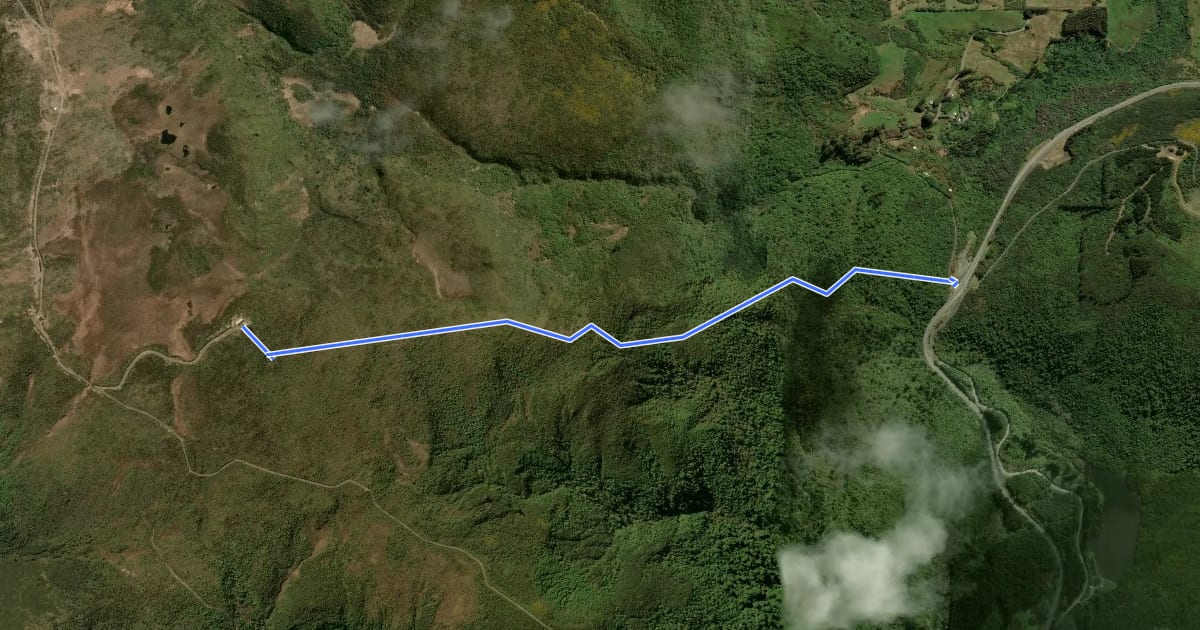 Маршрут Leith Saddle Track на спутниковом снимке