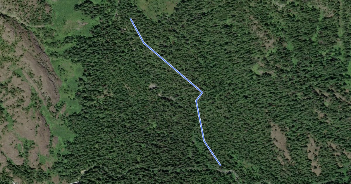 Маршрут Lemah Meadow Trail на спутниковом снимке