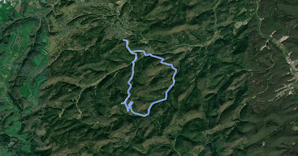 Маршрут Lemberger Flößertour на спутниковом снимке