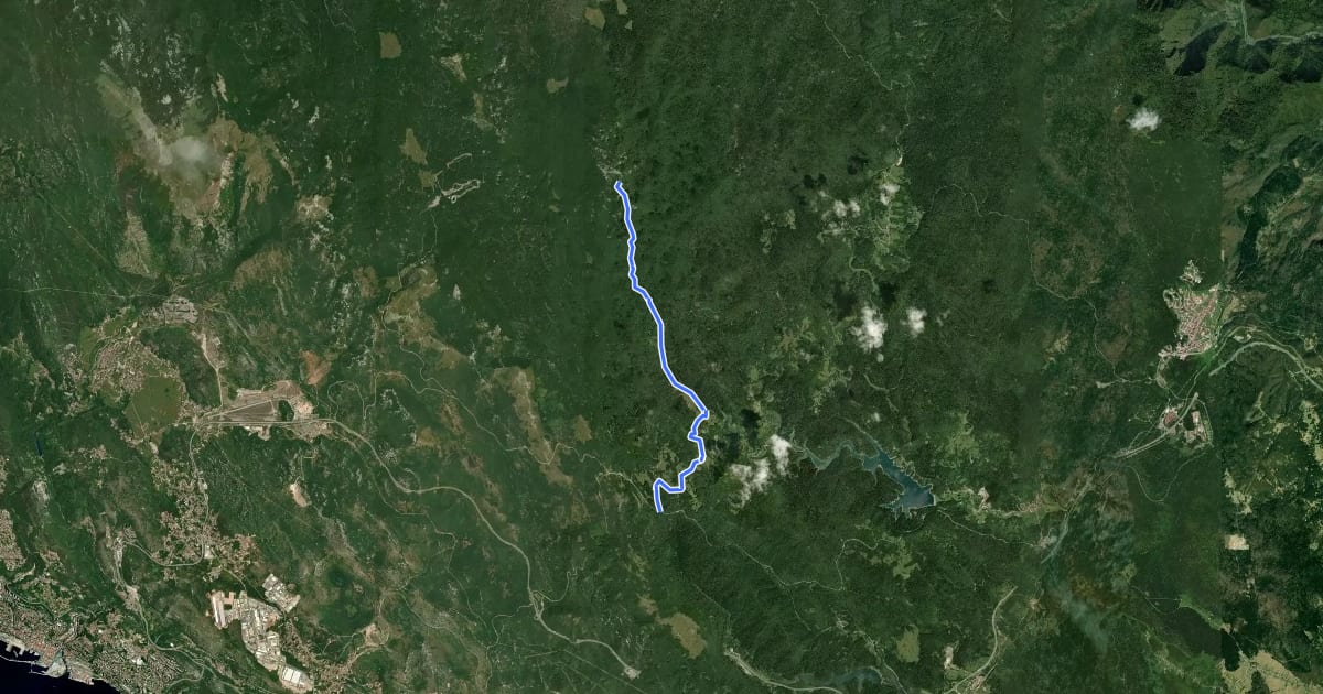Маршрут Lepenica - Medvjeđa vrata - Risnjak на спутниковом снимке