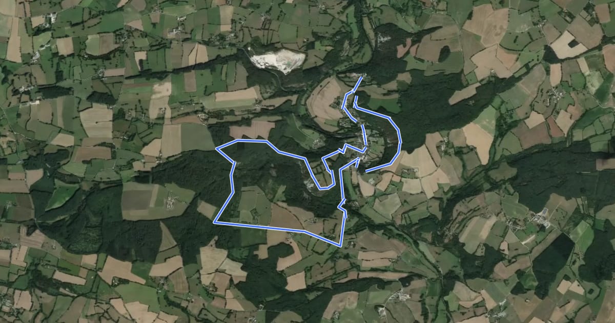 Маршрут Les Buttes - Circuit n°5 - Base VTT FFC du Gasseau на спутниковом снимке