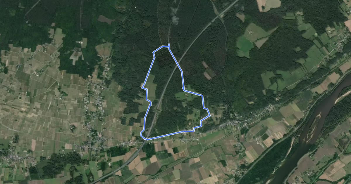 Маршрут Les Forges - Coteaux-sur-Loire на спутниковом снимке