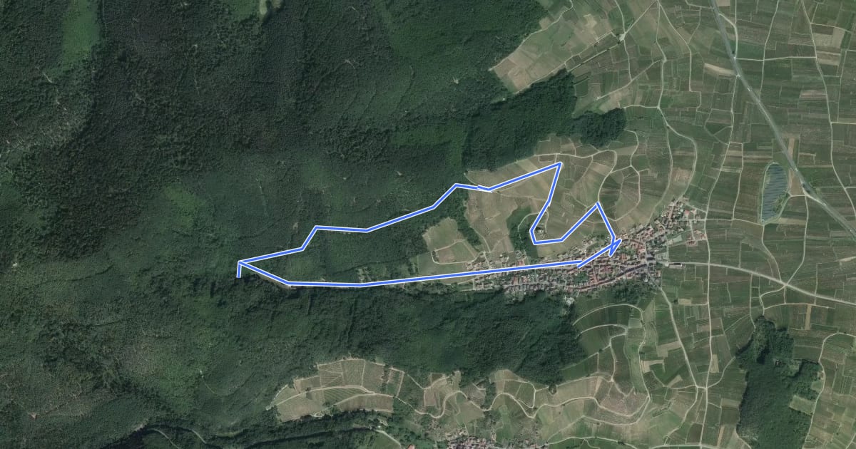 Маршрут Les hauteurs de Katzenthal на спутниковом снимке
