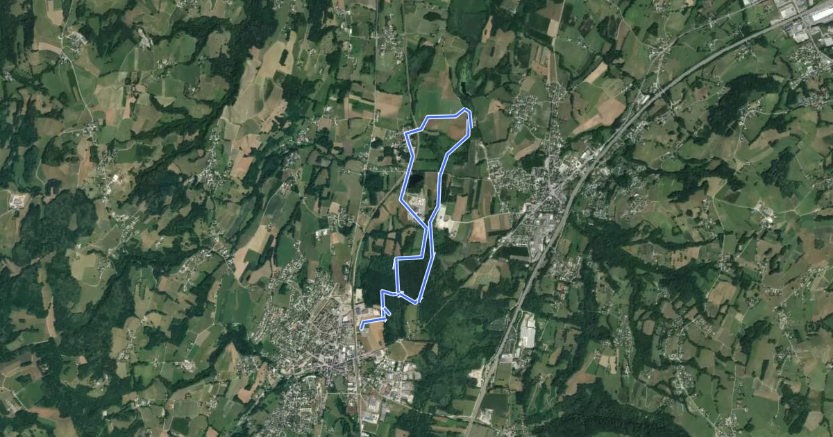 Маршрут Les Marais d’Albens на спутниковом снимке