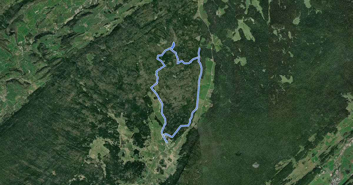 Маршрут Les Prés d'Haut на спутниковом снимке