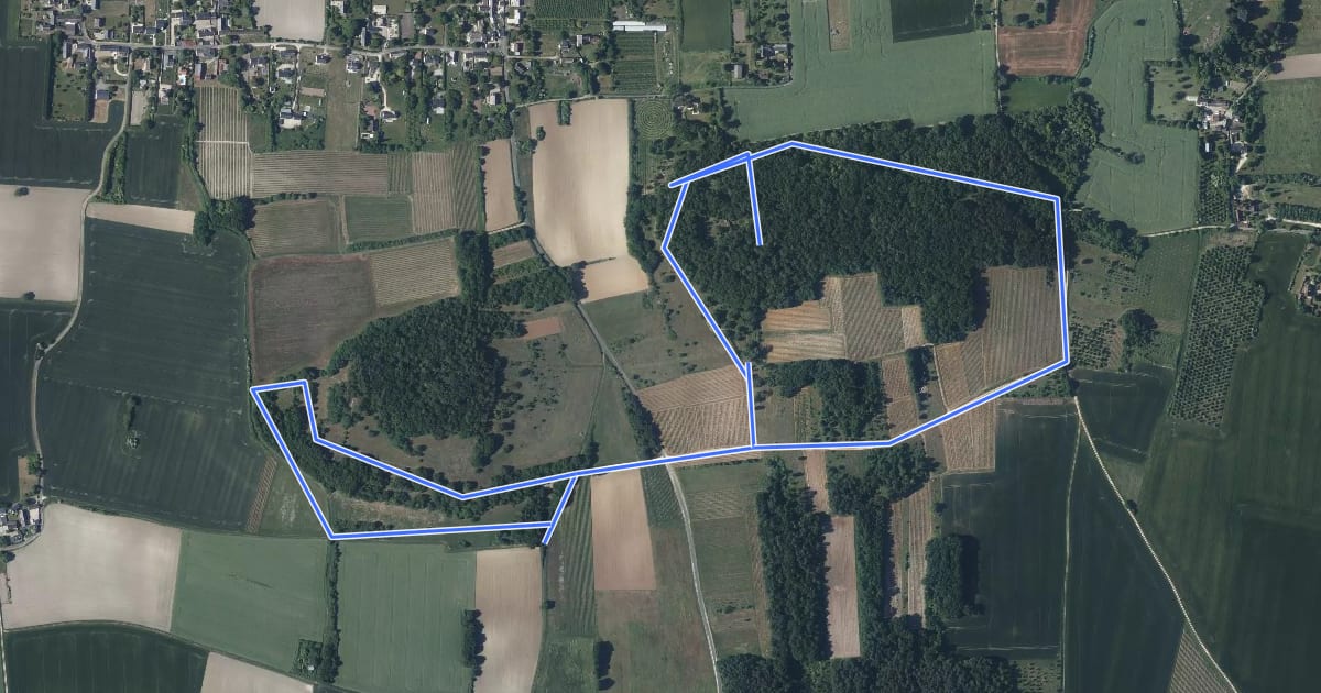 Маршрут Les Puys du Chinonais, Circuit Court - Chinon на спутниковом снимке