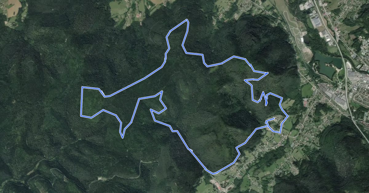 Маршрут Les Quatres chemins на спутниковом снимке