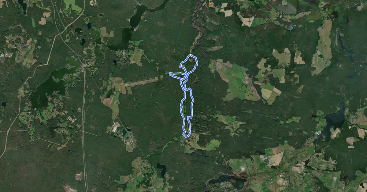 Маршрут Lesefährte Waldweisen на спутниковом снимке