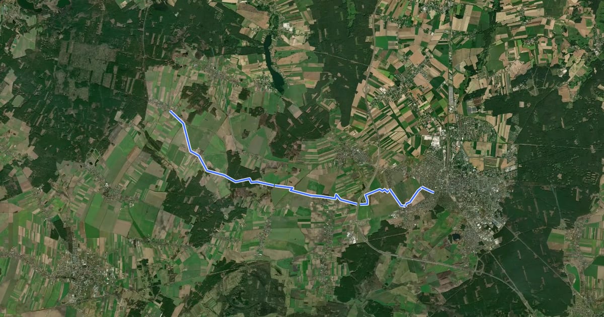 Маршрут Leszno - Dominice на спутниковом снимке