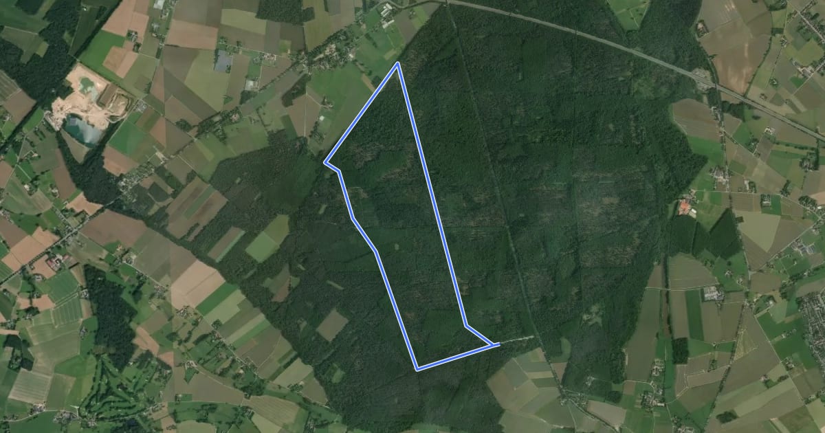 Маршрут Leucht West Rundweg A8 на спутниковом снимке