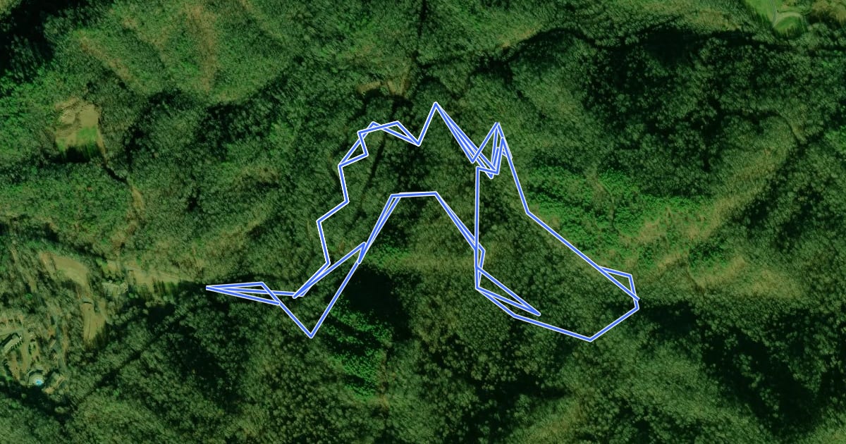 Маршрут Lewellyn Cove Trail на спутниковом снимке
