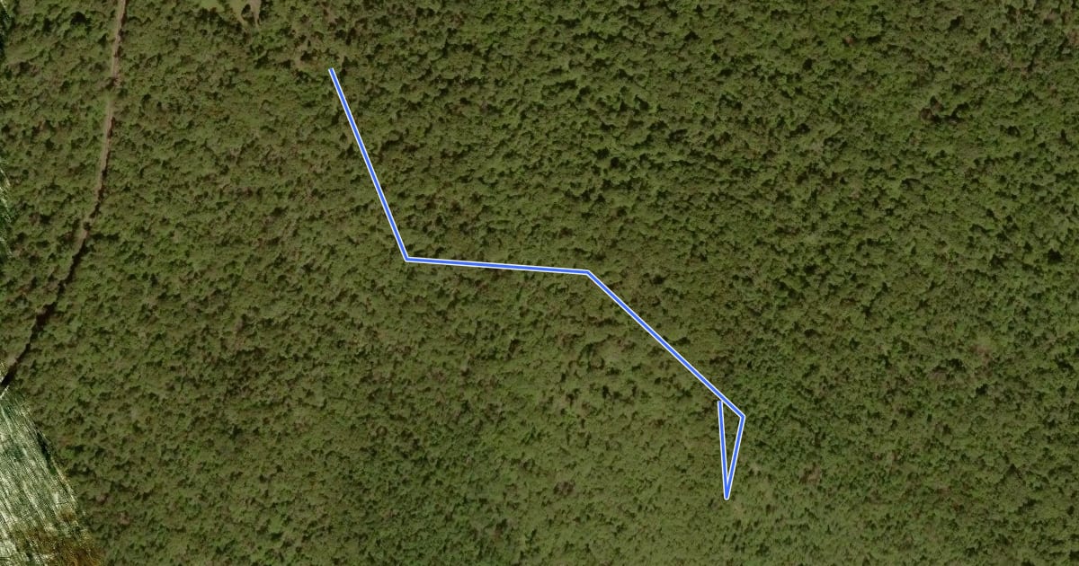 Маршрут Lewis Mountain Trail на спутниковом снимке