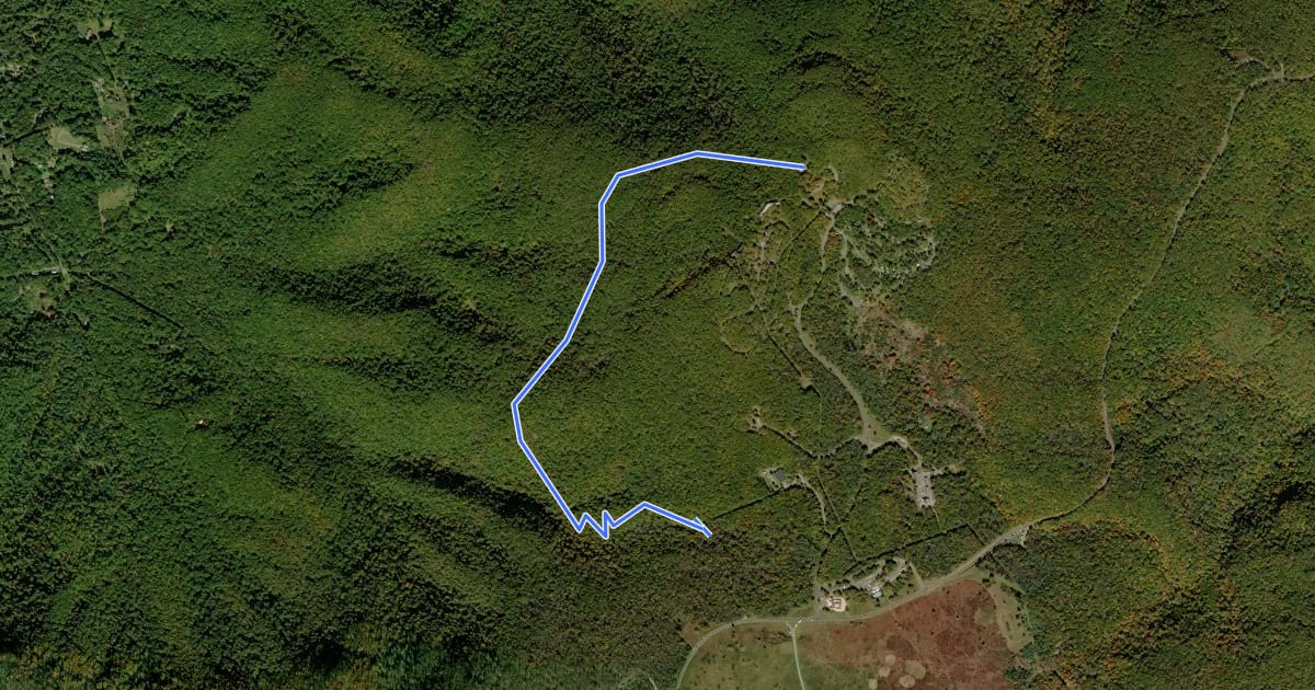 Маршрут Lewis Spring Falls Trail на спутниковом снимке