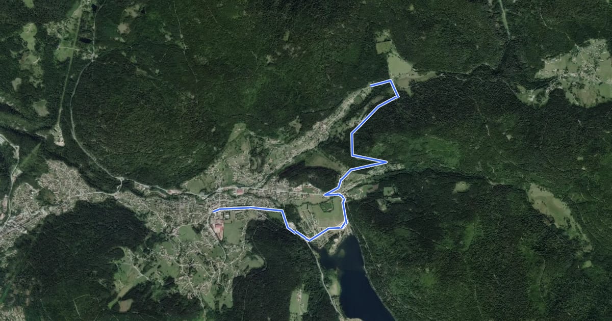 Маршрут Liaison Xonrupt-Longemer - Col de Surceneux на спутниковом снимке