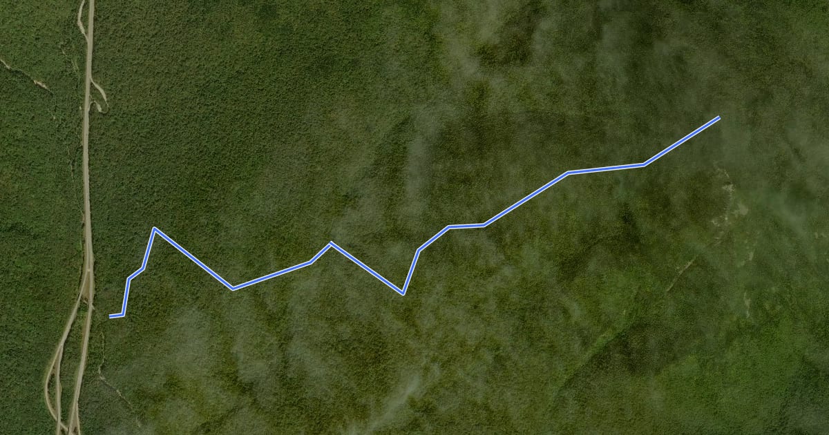 Маршрут Liberty Spring Trail на спутниковом снимке