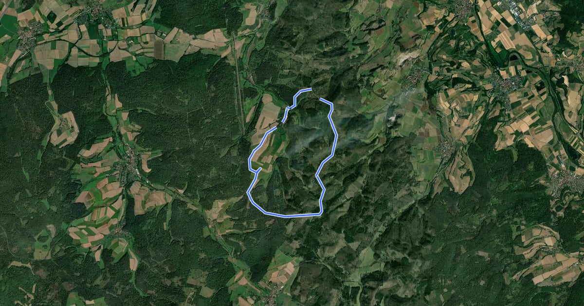 Маршрут Licherode Rundweg L1 на спутниковом снимке