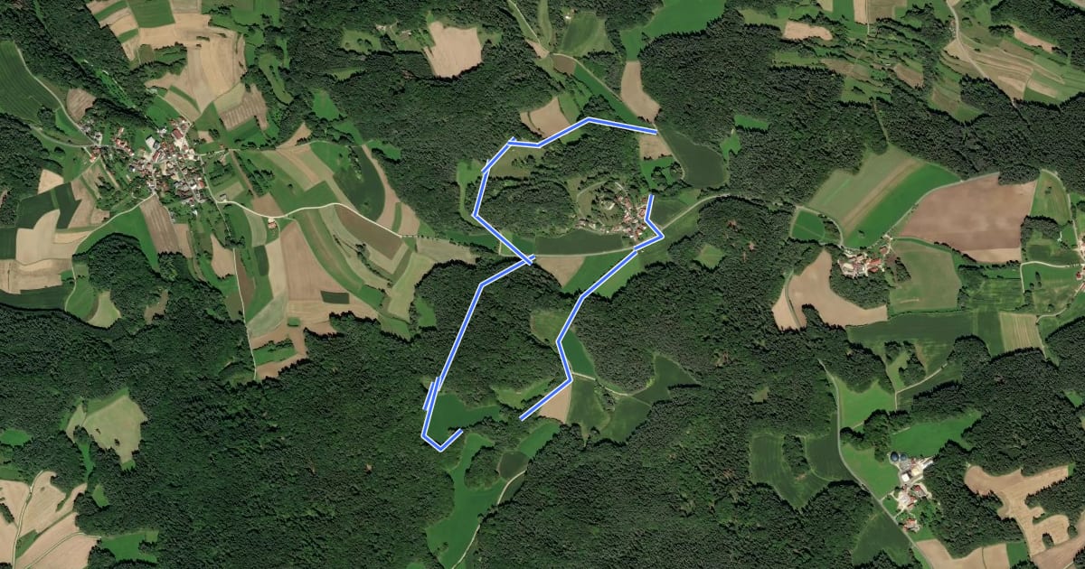 Маршрут Lichtenegg-Loipe 4 (Burgberg-Panorama-Loipe) на спутниковом снимке
