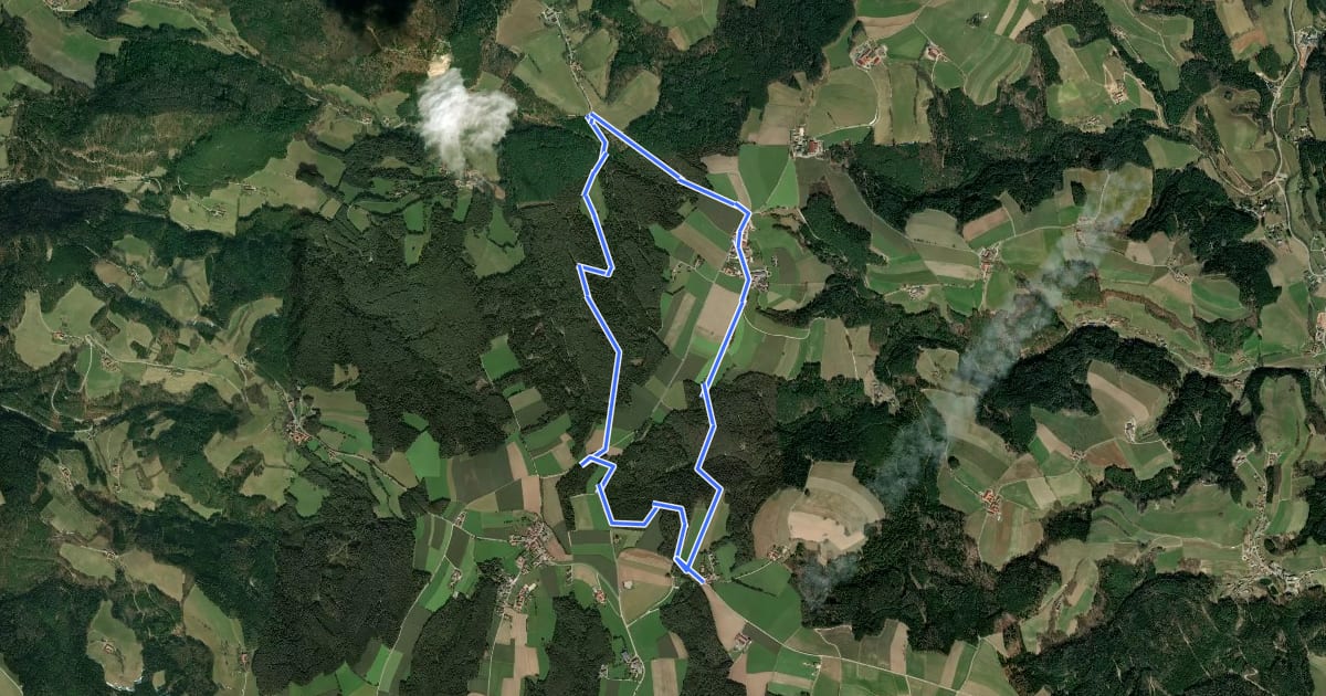 Маршрут Lichtenegg Rundwanderweg 3 на спутниковом снимке