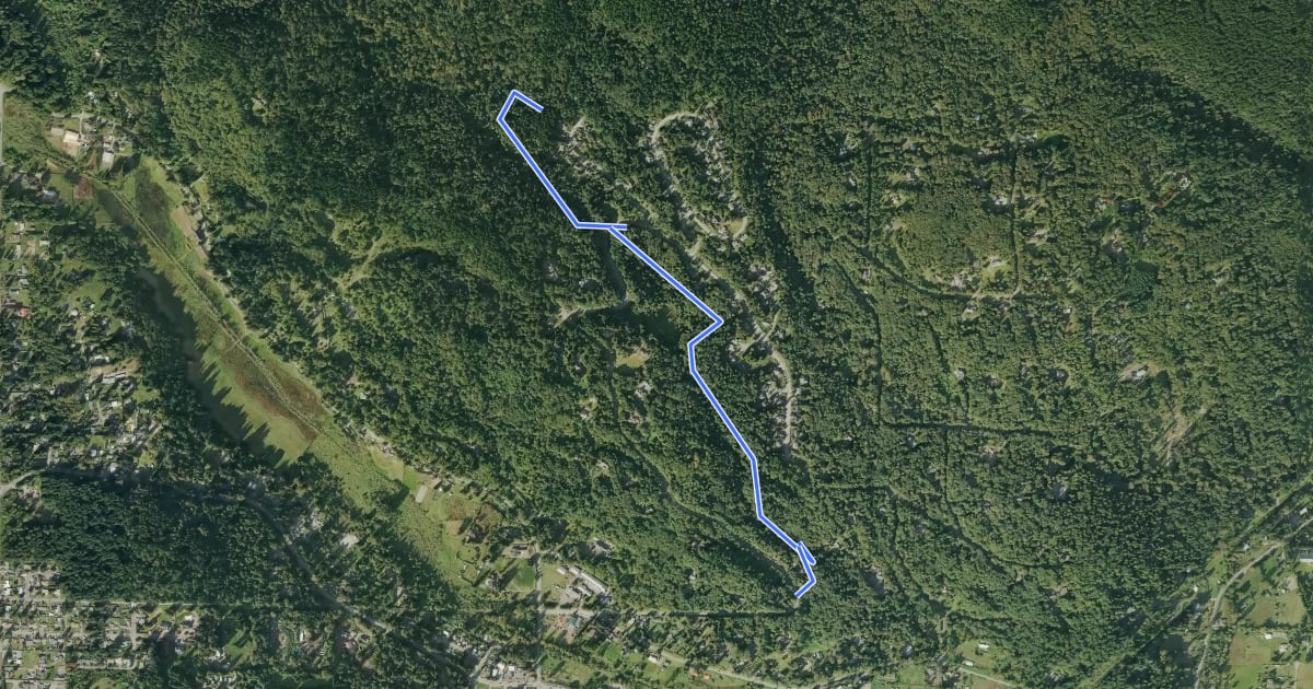 Маршрут Licorice Fern Trail на спутниковом снимке