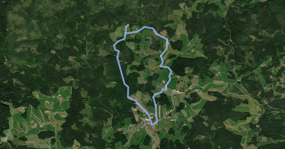 Маршрут Liebenau-Kampursprung 31 на спутниковом снимке