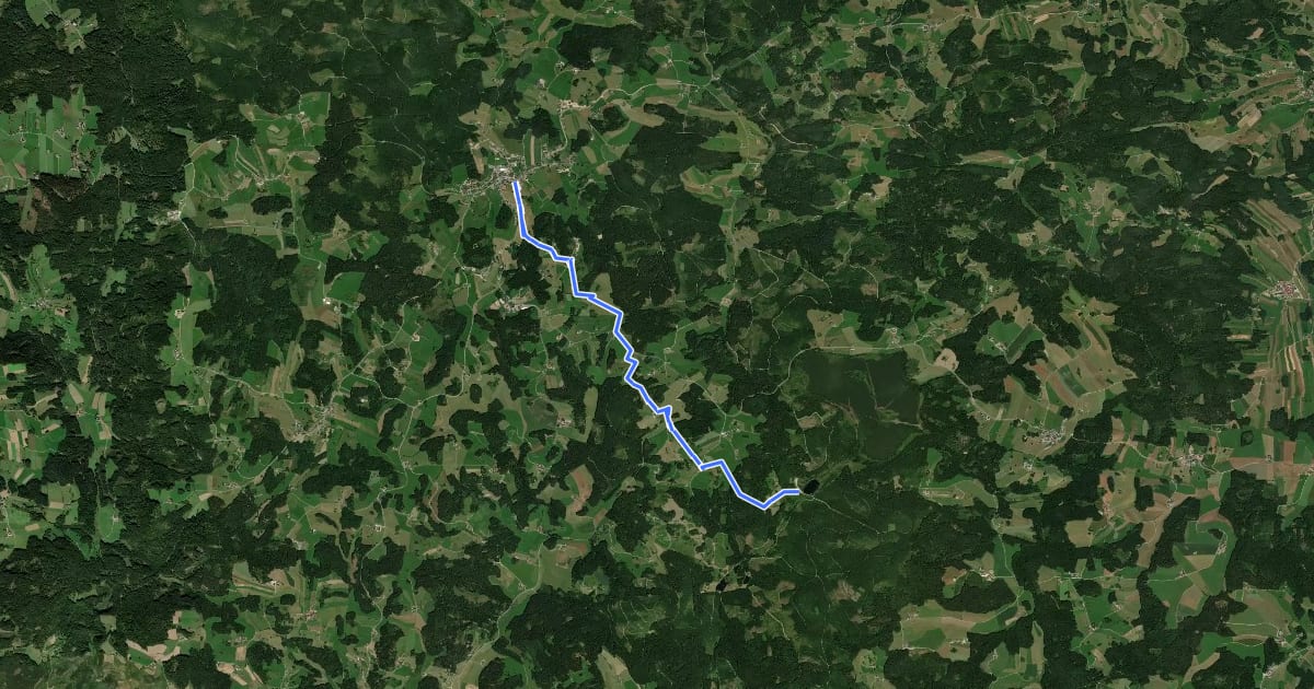 Маршрут Liebenau Tannermoor Nr. 37 на спутниковом снимке