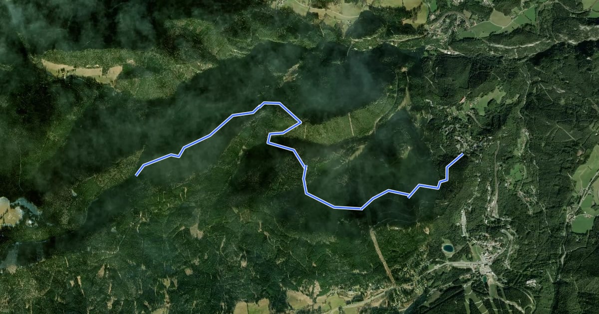Маршрут Liechtenstein Panoramaloipe на спутниковом снимке