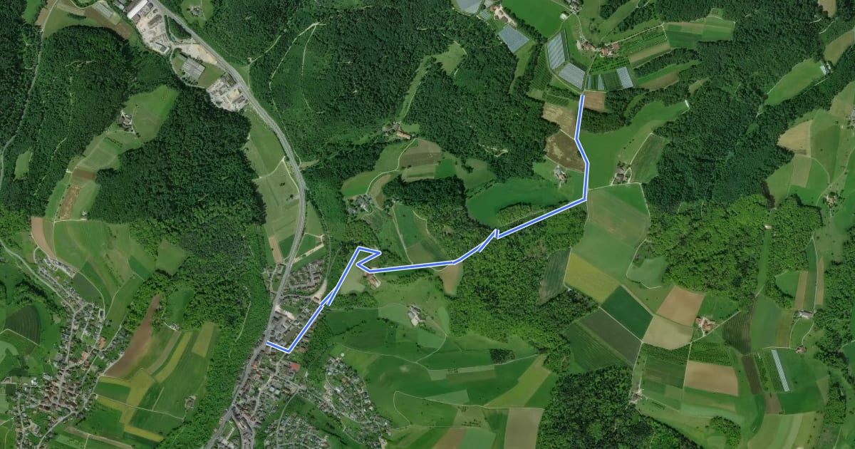 Маршрут Liestal-Hölstein на спутниковом снимке