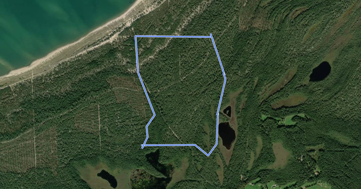 Маршрут Liivase ranna-Peraküla õpperada на спутниковом снимке