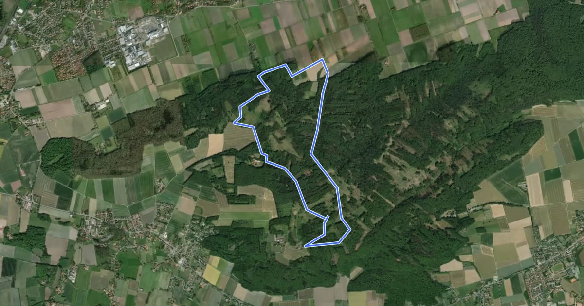 Маршрут Lila Route - Stemweder Berg на спутниковом снимке