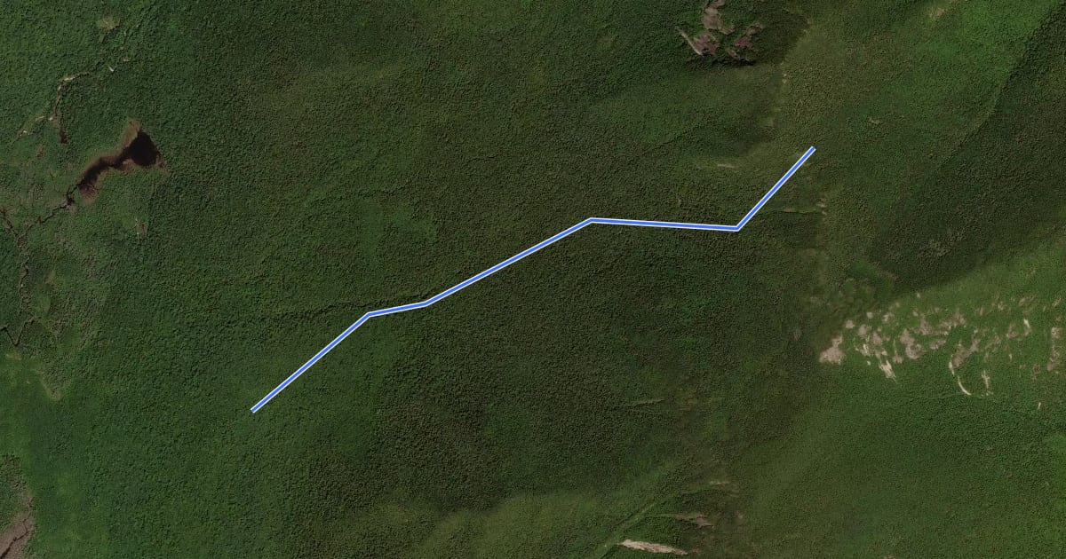 Маршрут Lillian Brook Trail на спутниковом снимке