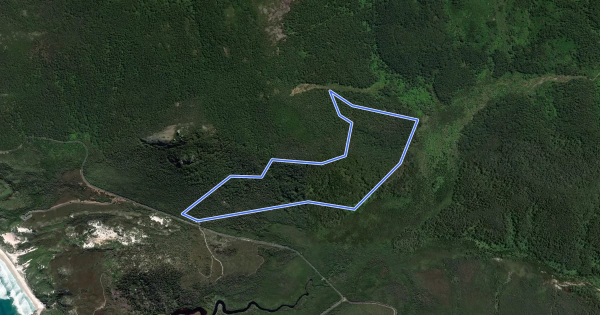 Маршрут Lilly Pilly Gully Circuit на спутниковом снимке