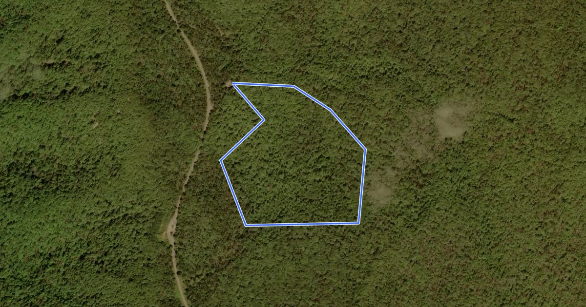 Маршрут Limberlost Trail на спутниковом снимке