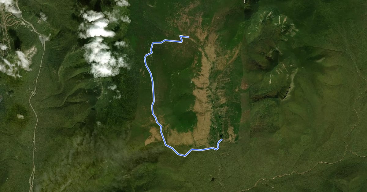 Маршрут Lincoln Brook Trail на спутниковом снимке