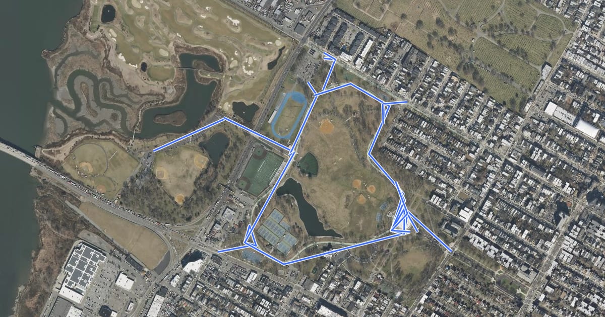 Маршрут Lincoln Park на спутниковом снимке