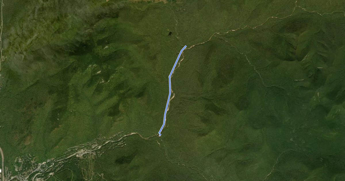 Маршрут Lincoln Woods Trail на спутниковом снимке