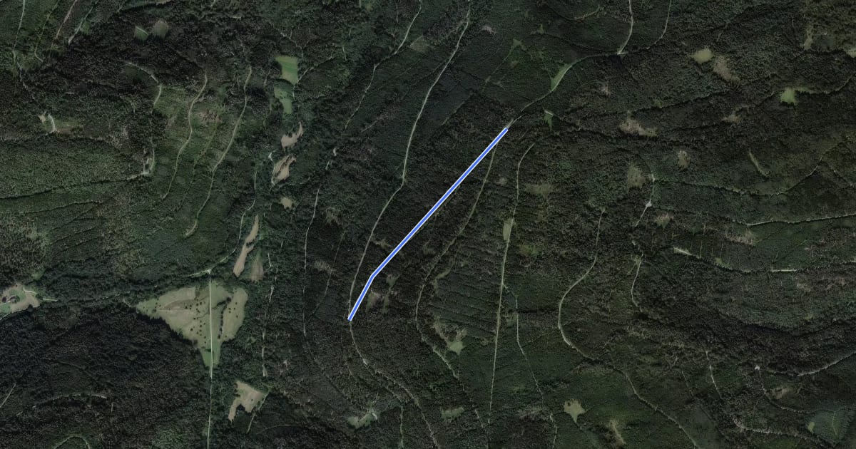 Маршрут Linienhang - Oberer Pfeifferweg на спутниковом снимке