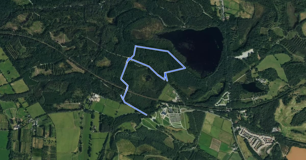 Маршрут Linmere Trail на спутниковом снимке