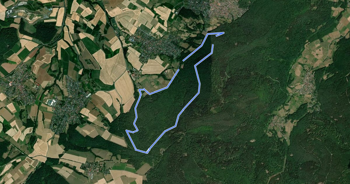 Маршрут Linsengerichter Rundwanderweg Nr.3 на спутниковом снимке