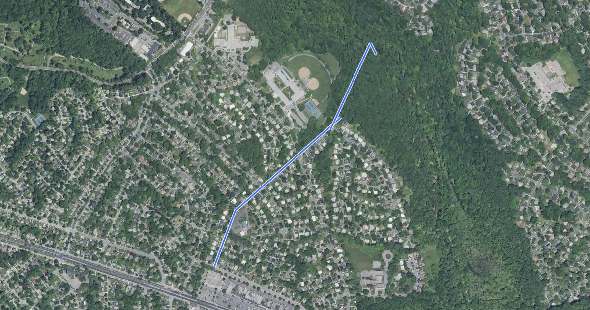 Маршрут Linthicum Street на спутниковом снимке