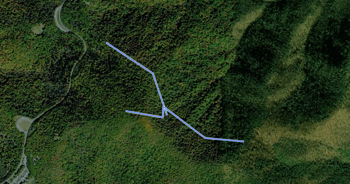 Маршрут Little Bald Mountain Trail на спутниковом снимке