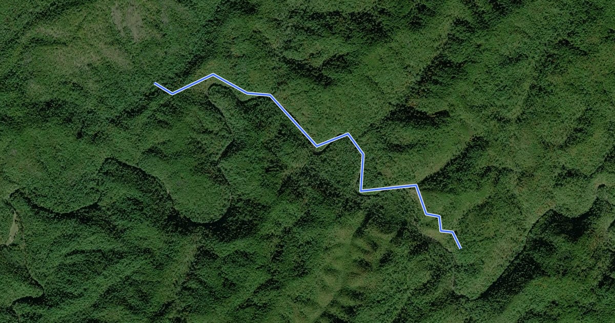Маршрут Little Bottoms Trail на спутниковом снимке