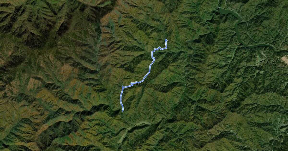 Маршрут Little Cataloochee Trail на спутниковом снимке