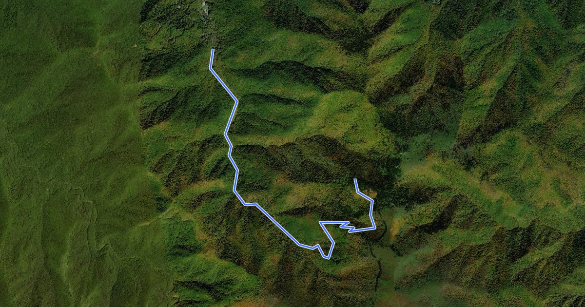 Маршрут Little East Fork Trail на спутниковом снимке