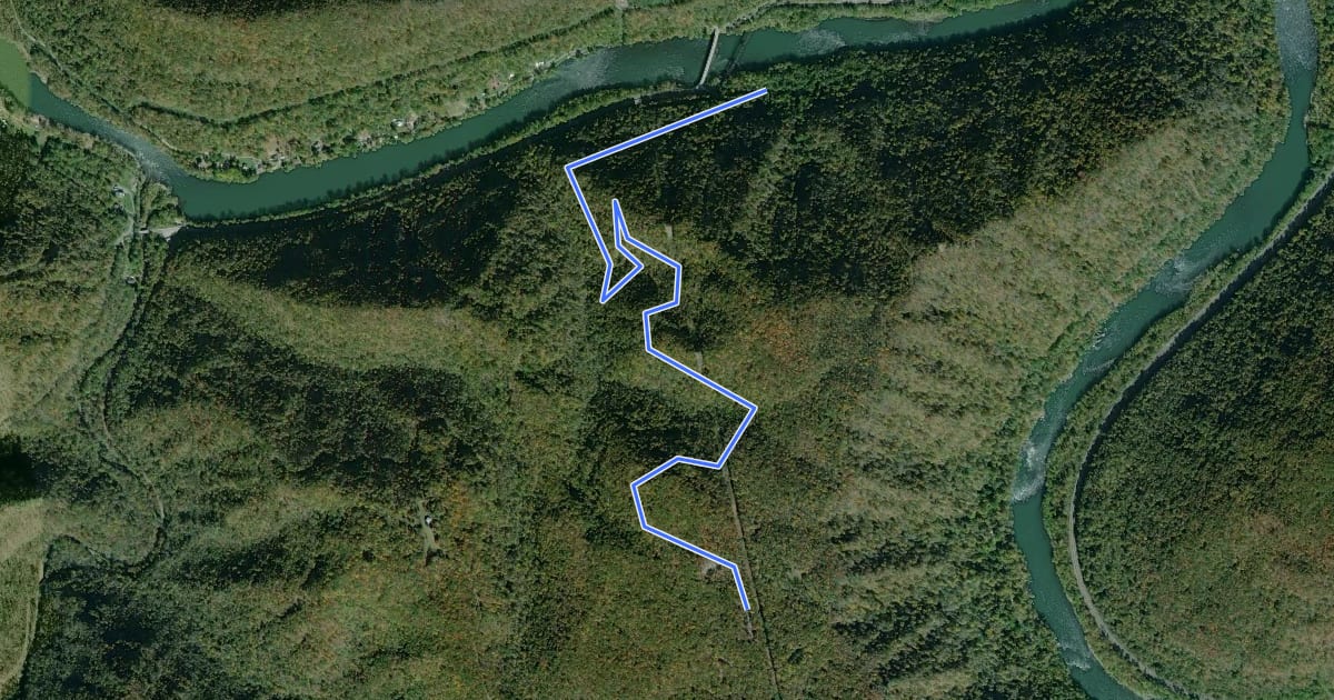 Маршрут Little Laurel Trail на спутниковом снимке