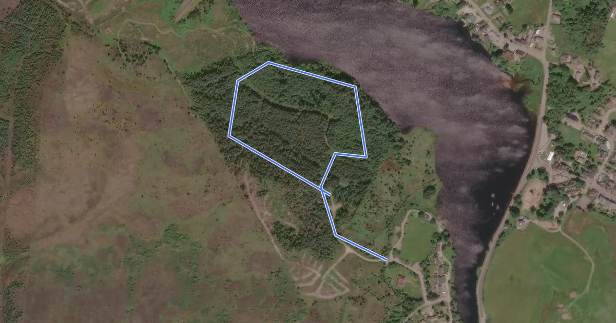 Маршрут Little Loch Shin Walk на спутниковом снимке
