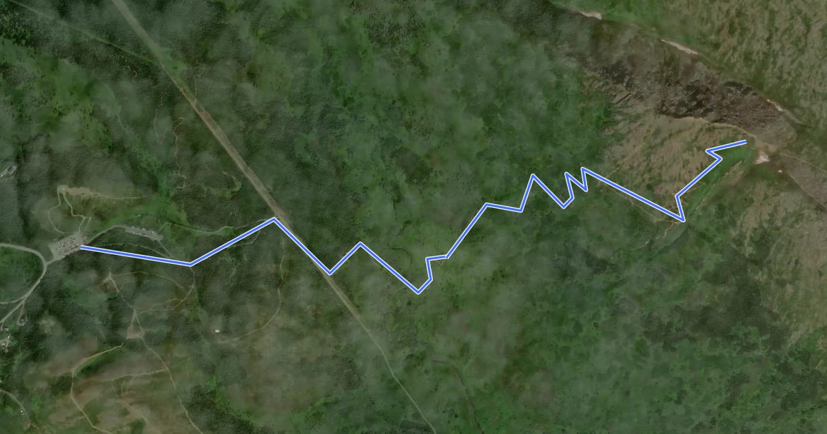 Маршрут Little O'Malley Peak Trail на спутниковом снимке